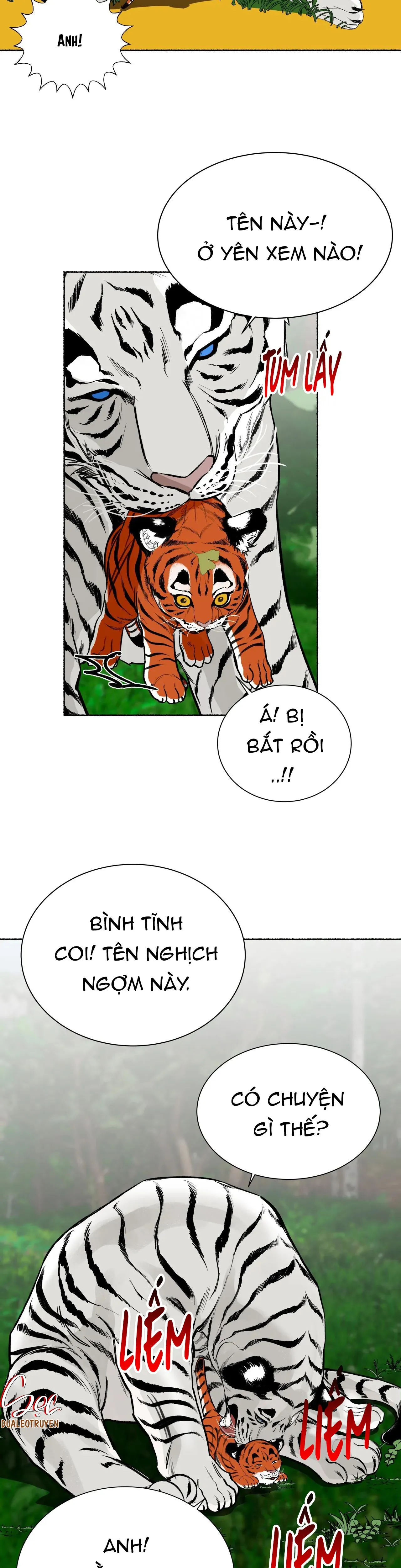 HỔ NGÀN NĂM Chapter 24 Trang 27