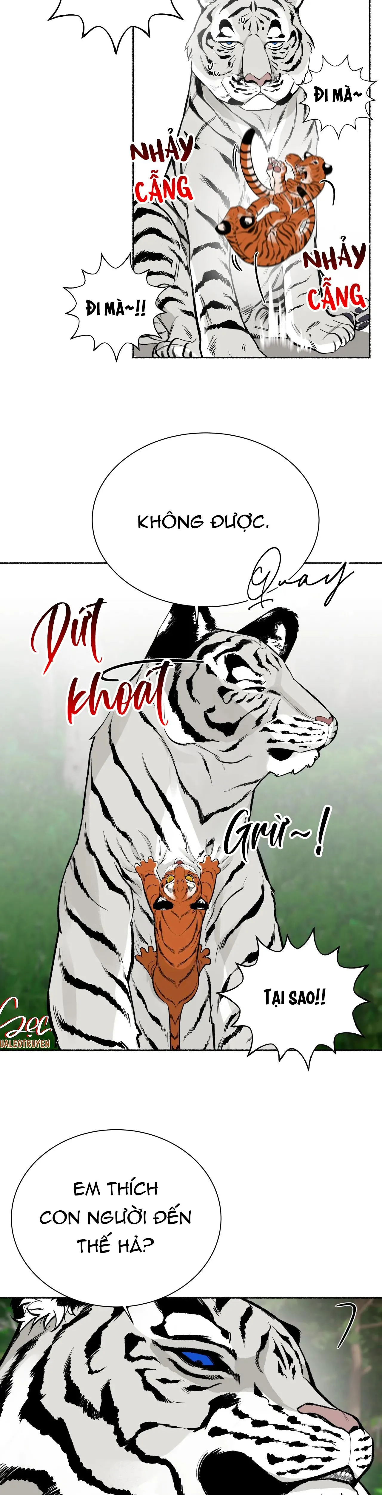 HỔ NGÀN NĂM Chapter 24 Trang 29