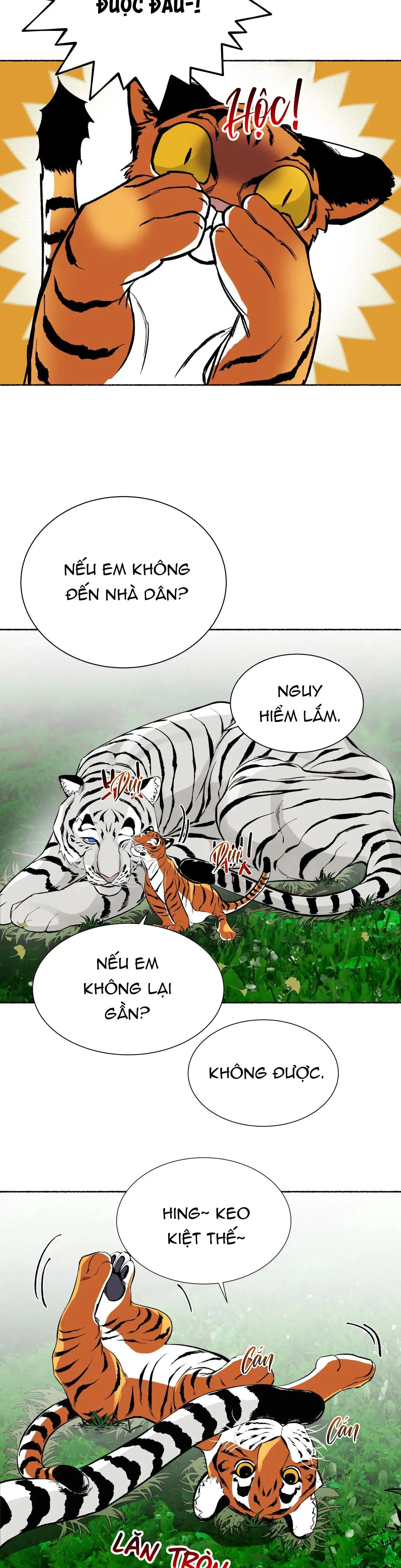 HỔ NGÀN NĂM Chapter 24 Trang 35