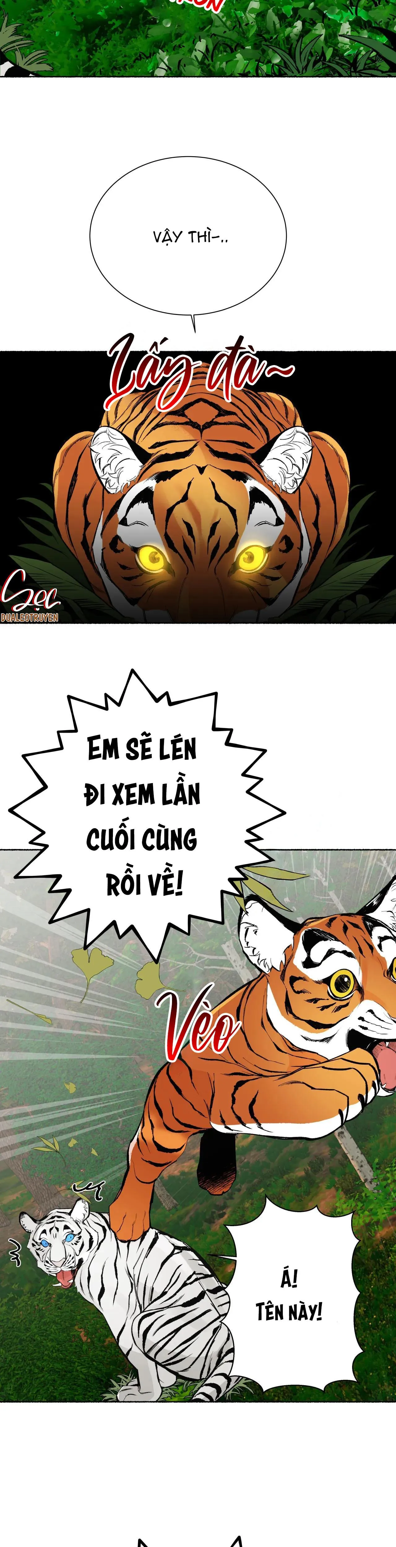 HỔ NGÀN NĂM Chapter 24 Trang 36