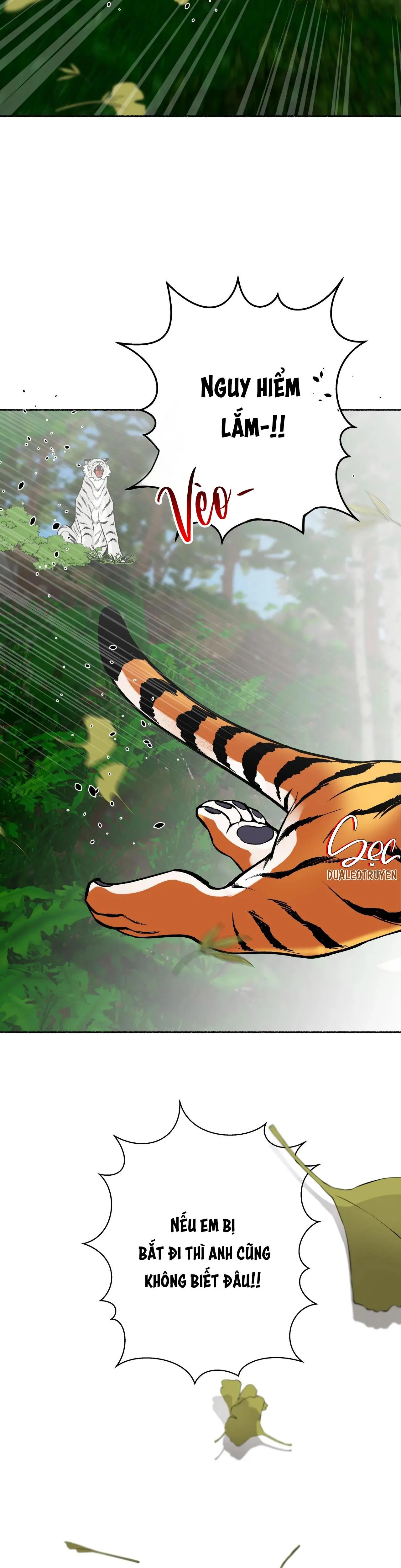HỔ NGÀN NĂM Chapter 24 Trang 38