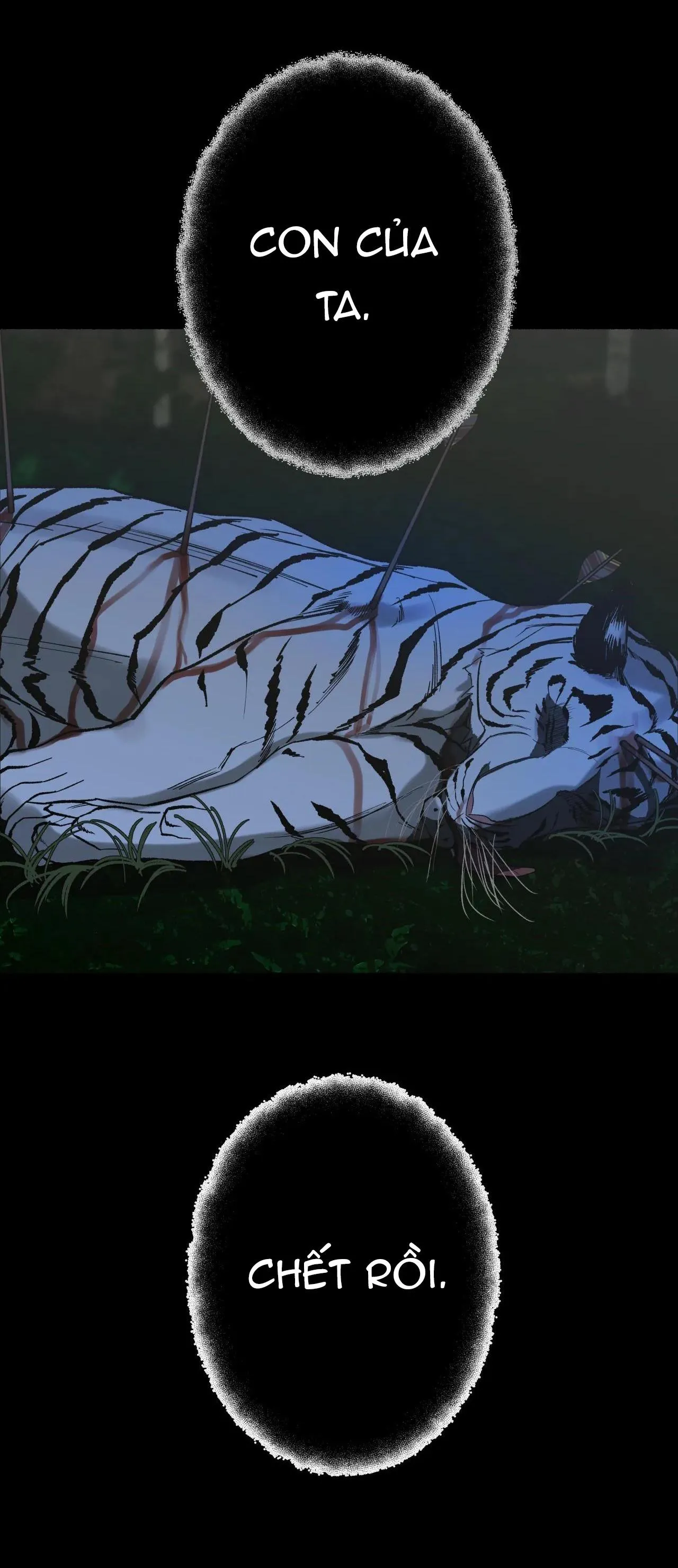 HỔ NGÀN NĂM Chapter 28 Trang 15