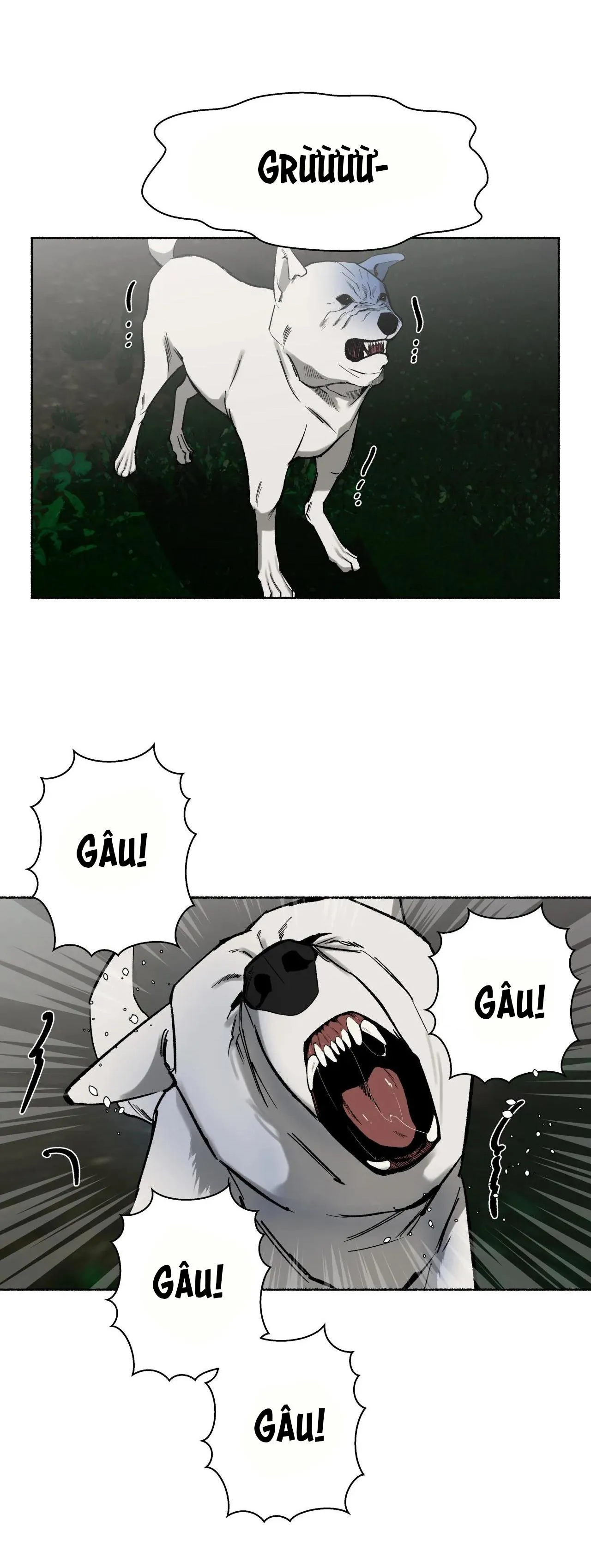 HỔ NGÀN NĂM Chapter 28 Trang 45