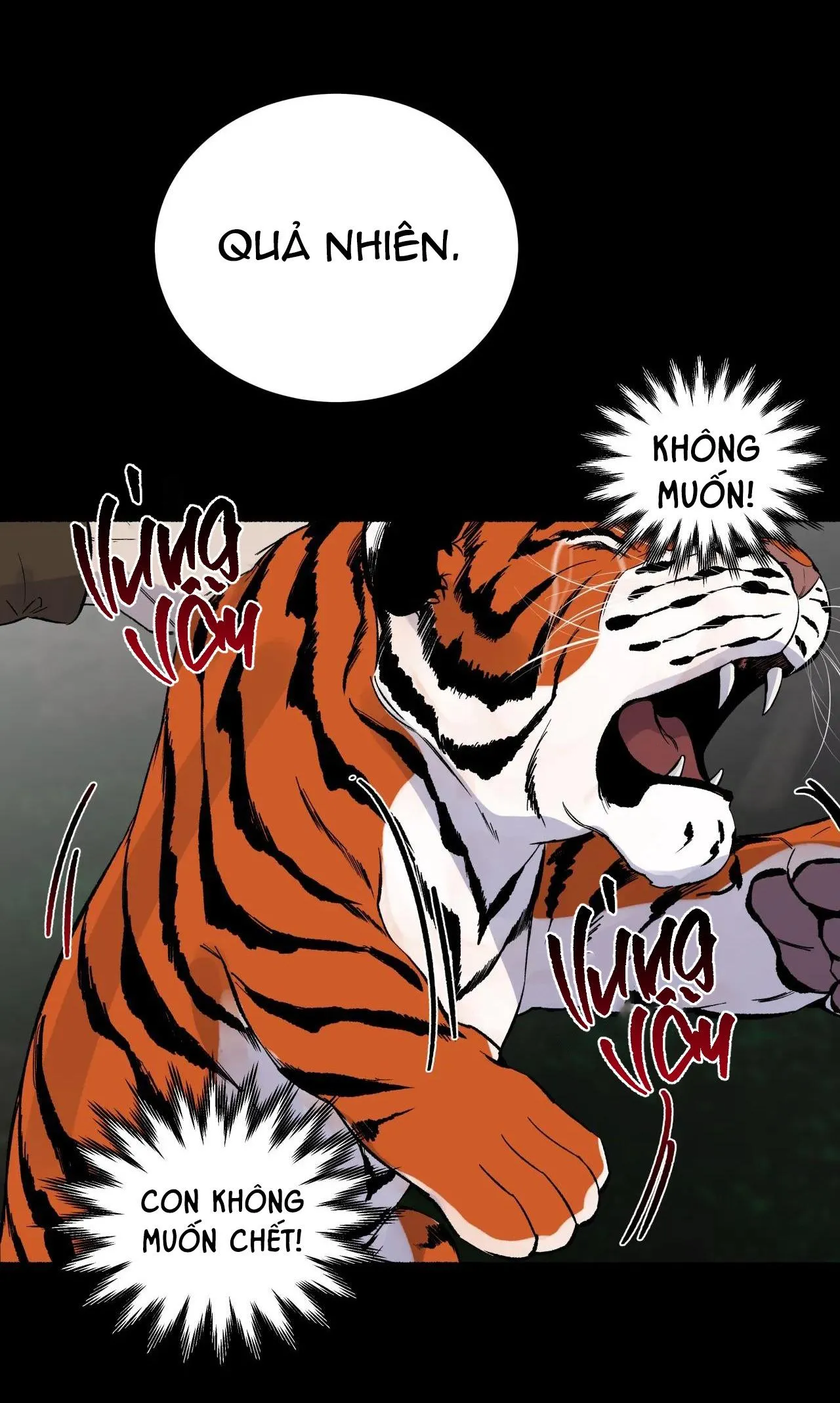 HỔ NGÀN NĂM Chapter 29 Trang 13