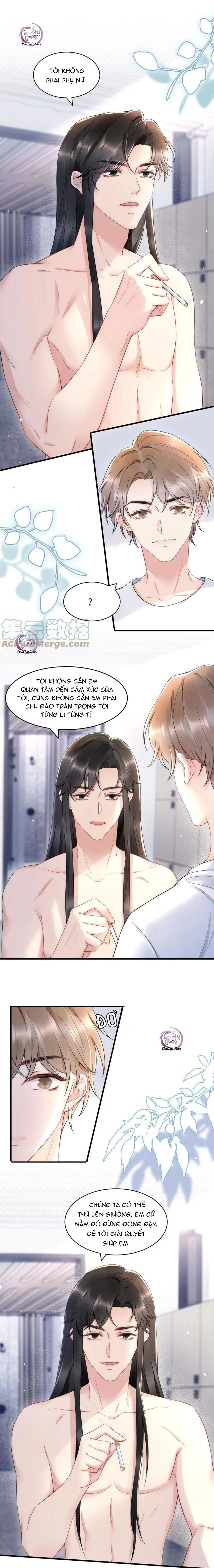 Hổ Phách Cầu Vồng (END) Chapter 27 Trang 3