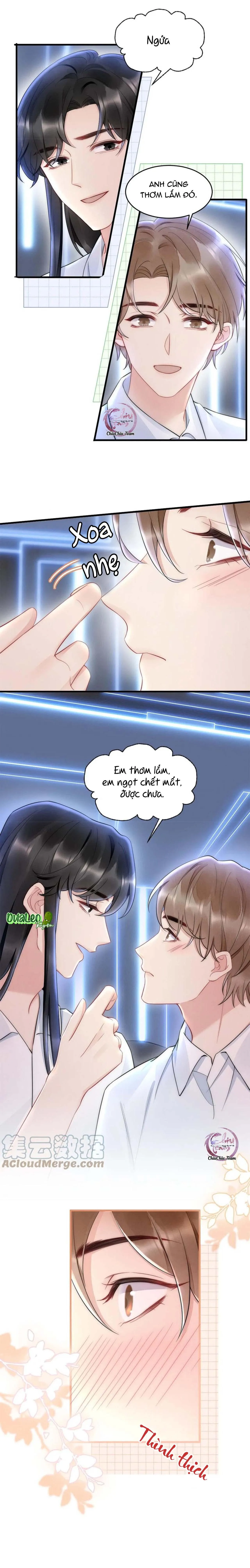 Hổ Phách Cầu Vồng (END) Chapter 30 Trang 10