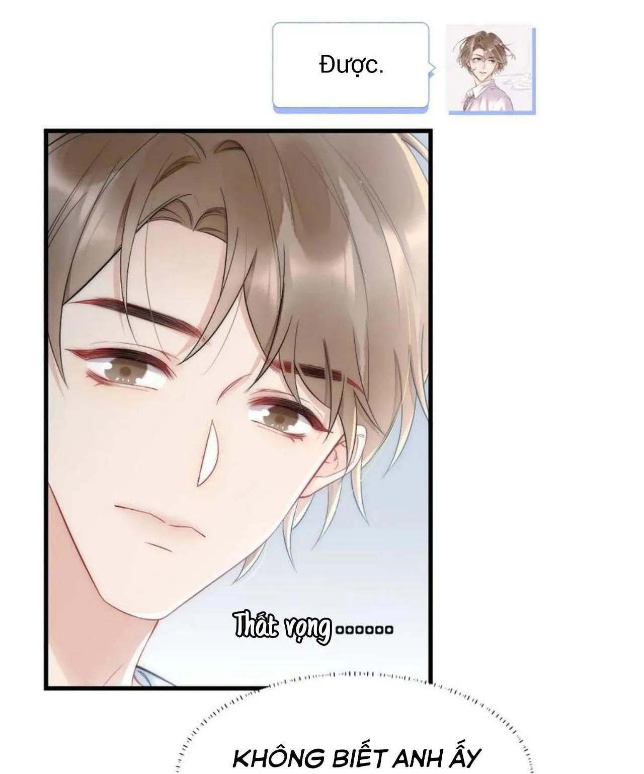 Hổ Phách Cầu Vồng (END) Chapter 35 Trang 24