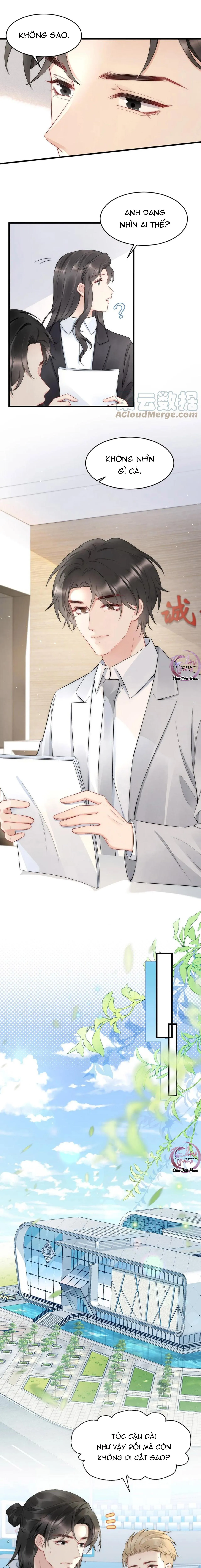 Hổ Phách Cầu Vồng (END) Chapter 39 Trang 7