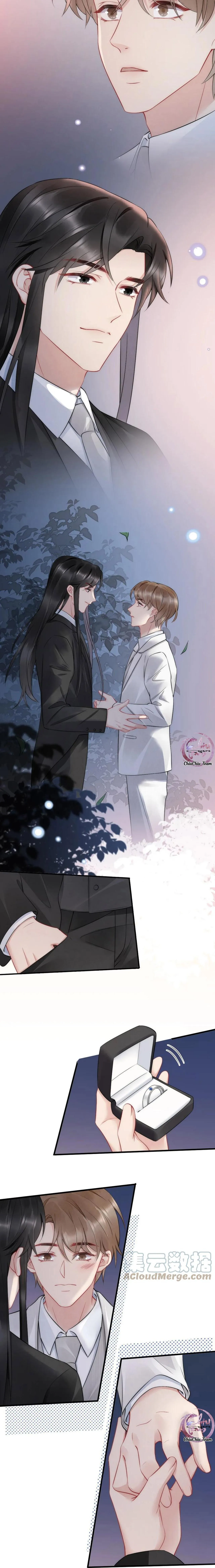 Hổ Phách Cầu Vồng (END) Chapter 42 Trang 11