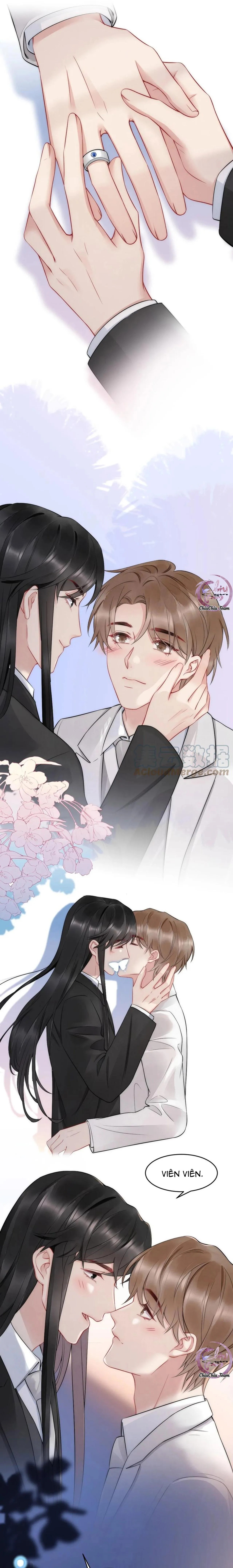 Hổ Phách Cầu Vồng (END) Chapter 42 Trang 12