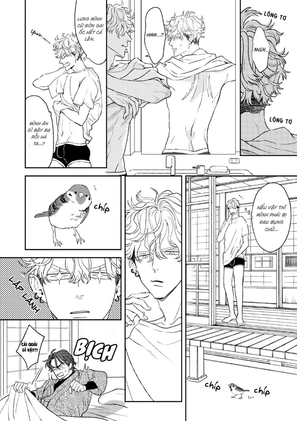 HỔ PHÁCH NHỎ CỦA ANH Chapter 3 Trang 11