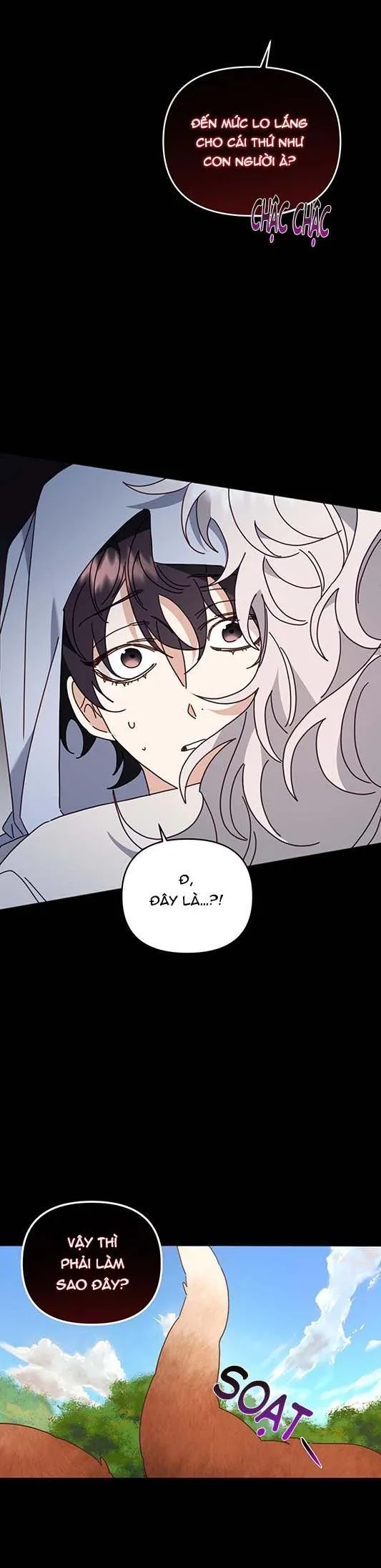 HỔ TRỞ VỀ Chapter 32 Trang 31