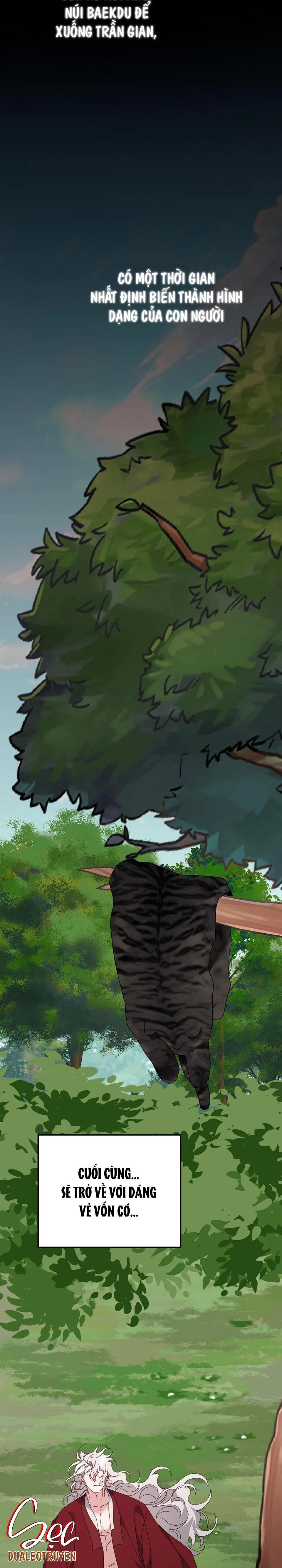 HỔ TRỞ VỀ Chapter 38 Trang 20