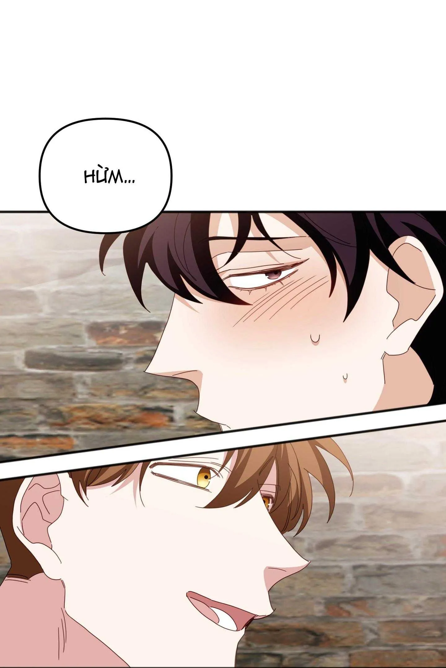 HỔ TRỞ VỀ Chapter 40 Trang 30