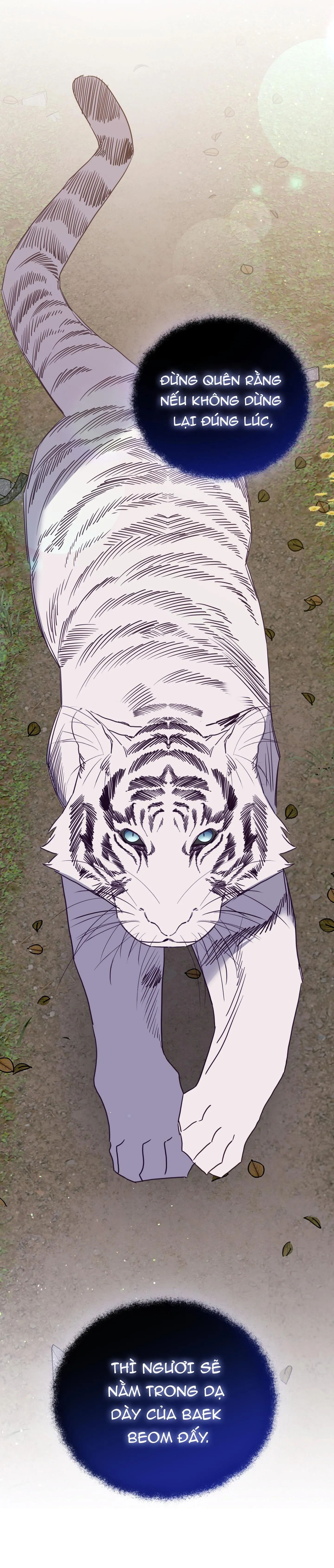 HỔ TRỞ VỀ Chapter 42 Trang 12