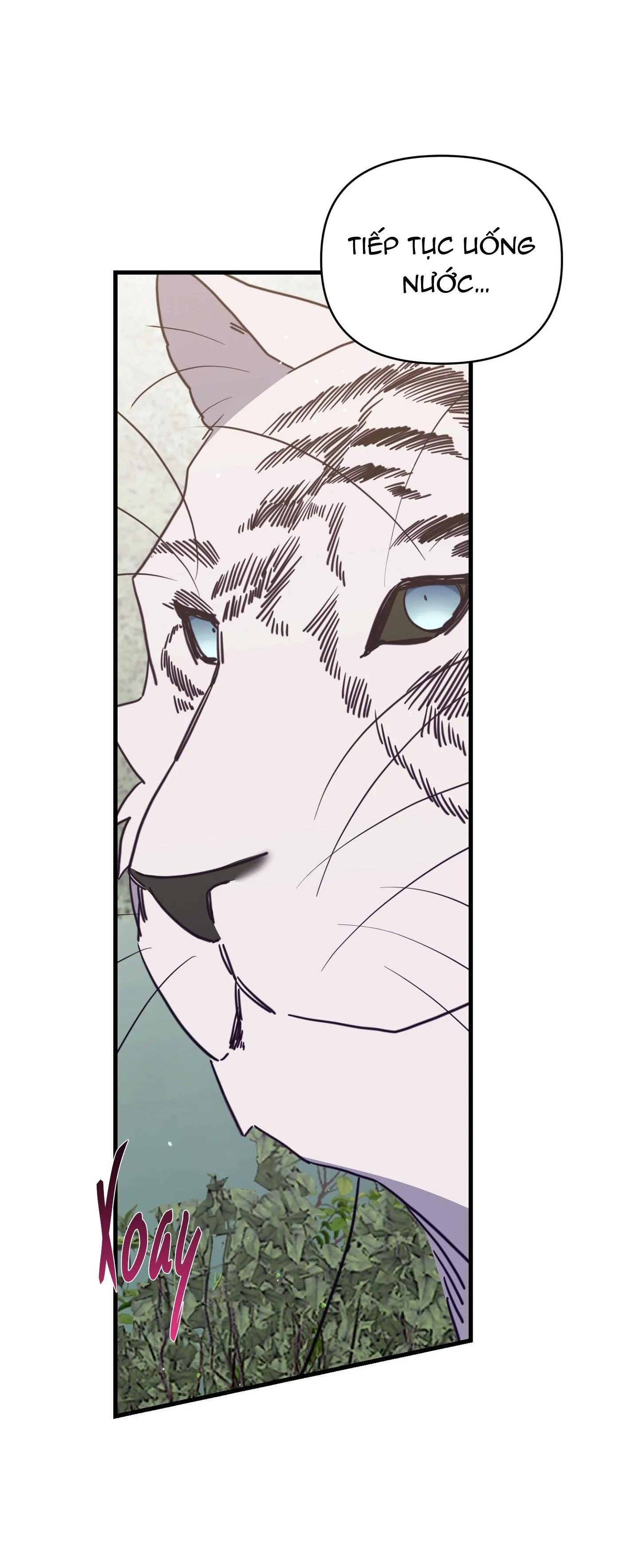 HỔ TRỞ VỀ Chapter 42 Trang 51