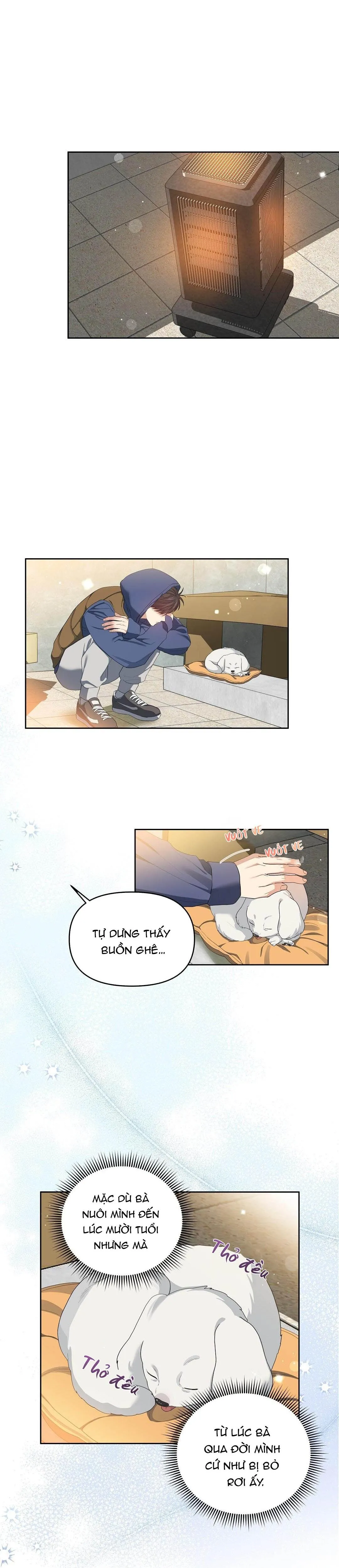 Hoa Anh Đ ào Chapter 12 Trang 17