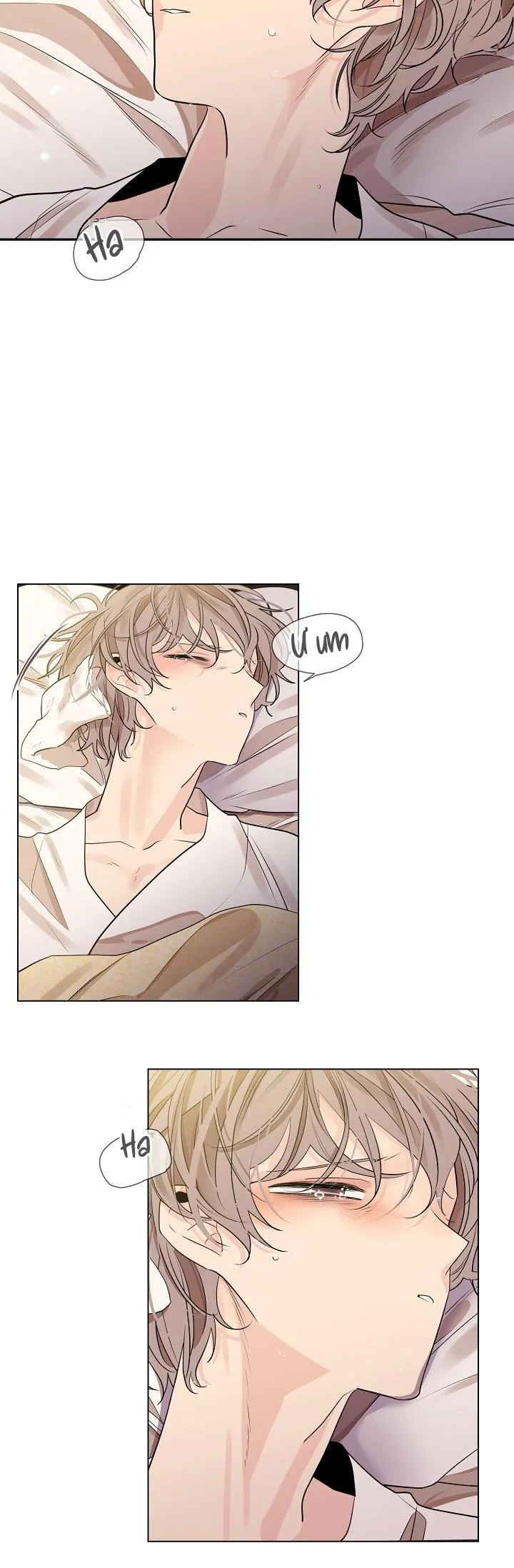 HOA GIẤY Chapter 24 Trang 16