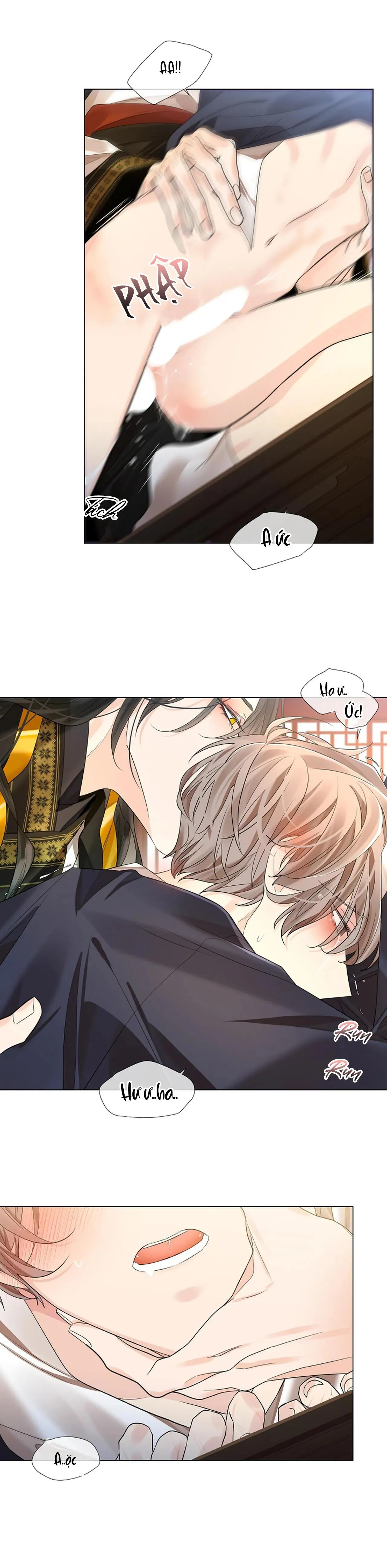 HOA GIẤY Chapter 51 Trang 7