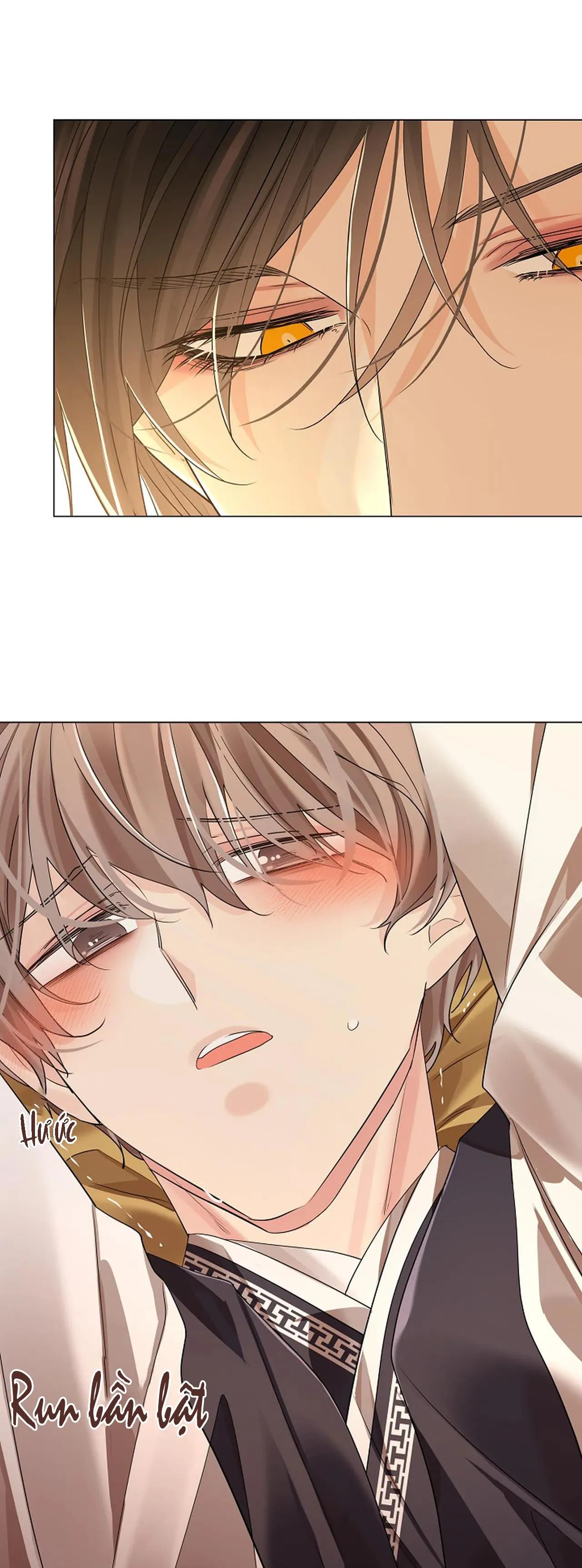 HOA GIẤY Chapter 54 Trang 42