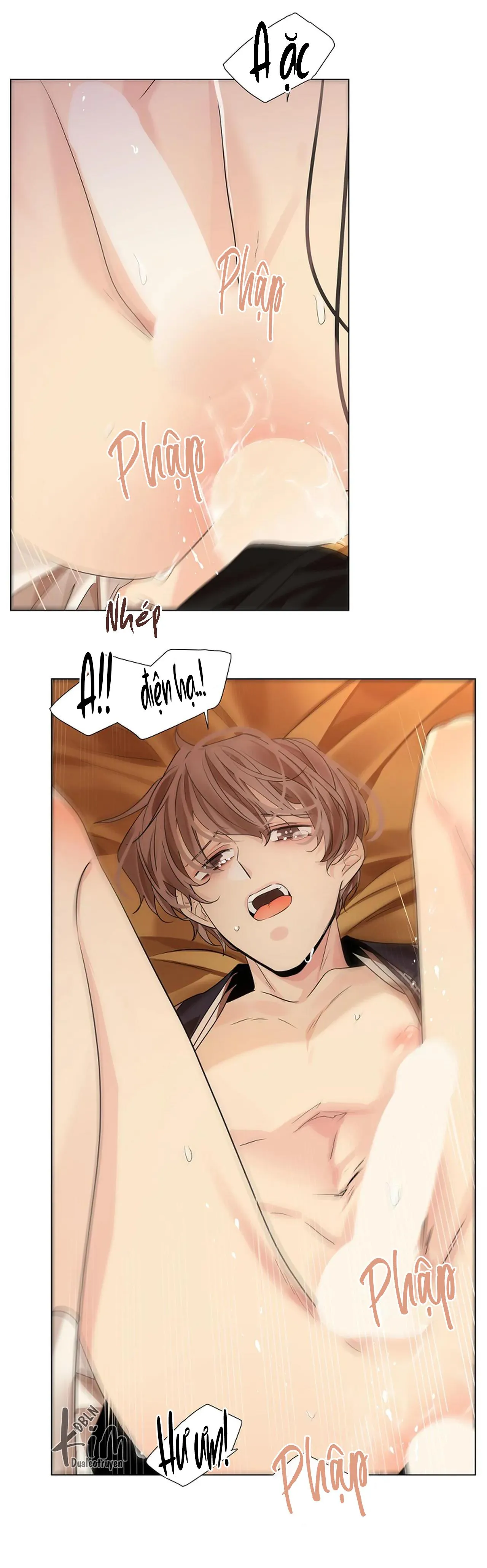 HOA GIẤY Chapter 54 Trang 49