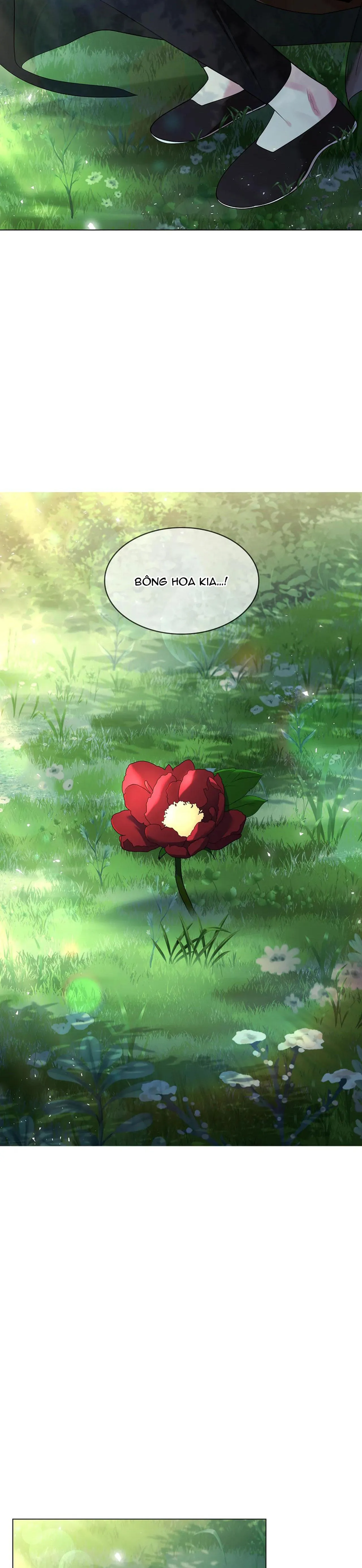 HOA GIẤY Chapter 76 Trang 29