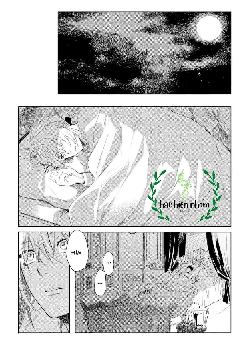 Hoa hồng dại và những kẻ giả tạo Chapter 2 Trang 4