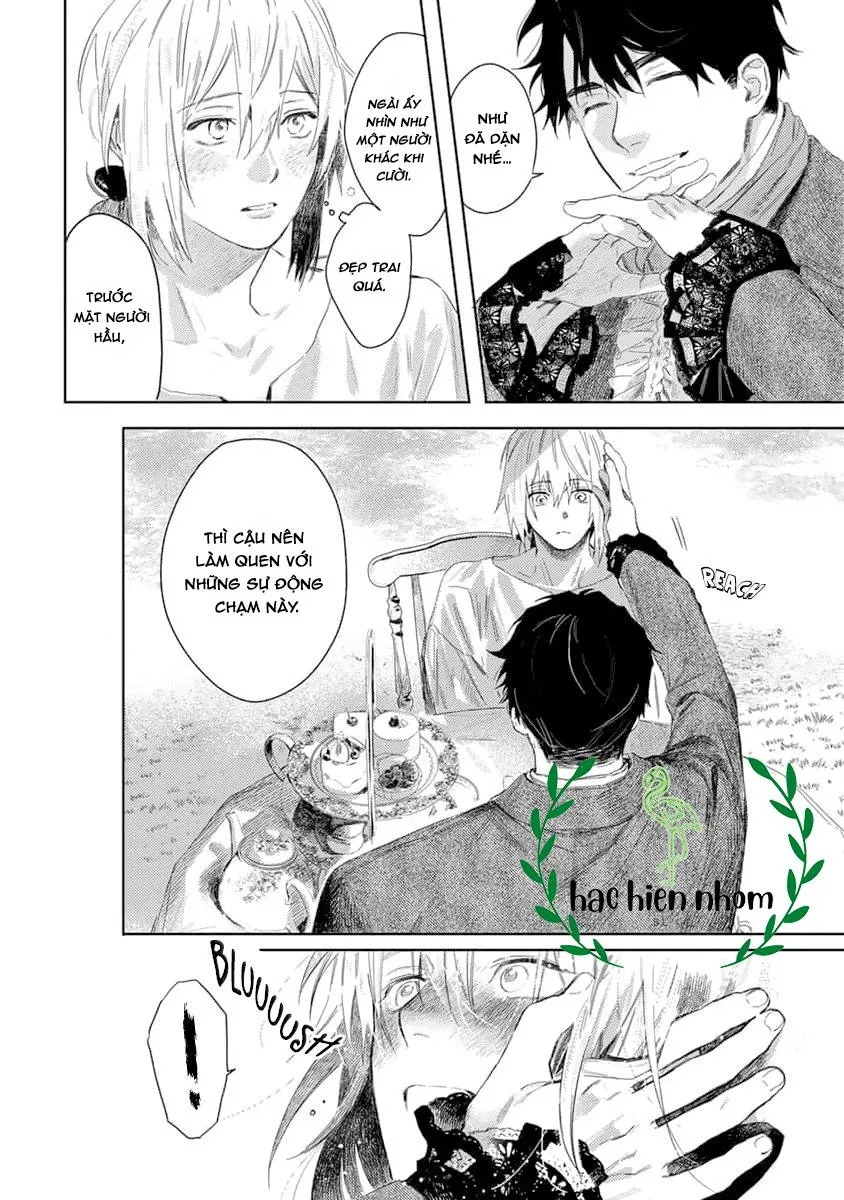 Hoa hồng dại và những kẻ giả tạo Chapter 2 Trang 16