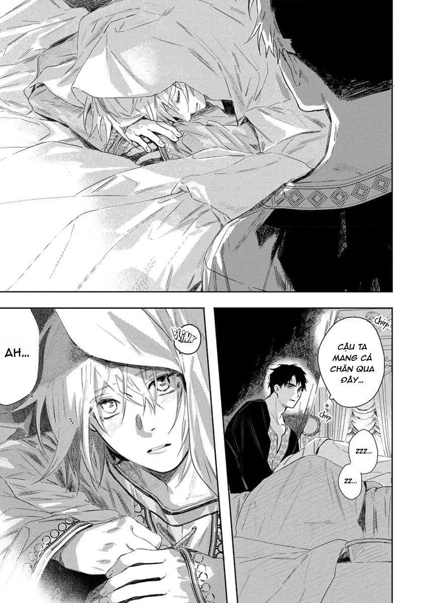 Hoa hồng dại và những kẻ giả tạo Chapter 2 Trang 37