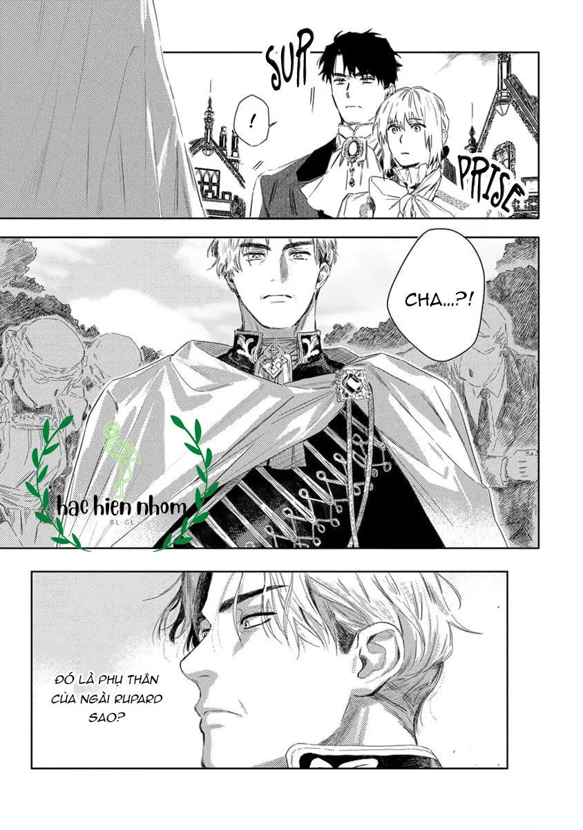 Hoa hồng dại và những kẻ giả tạo Chapter 3 Trang 15
