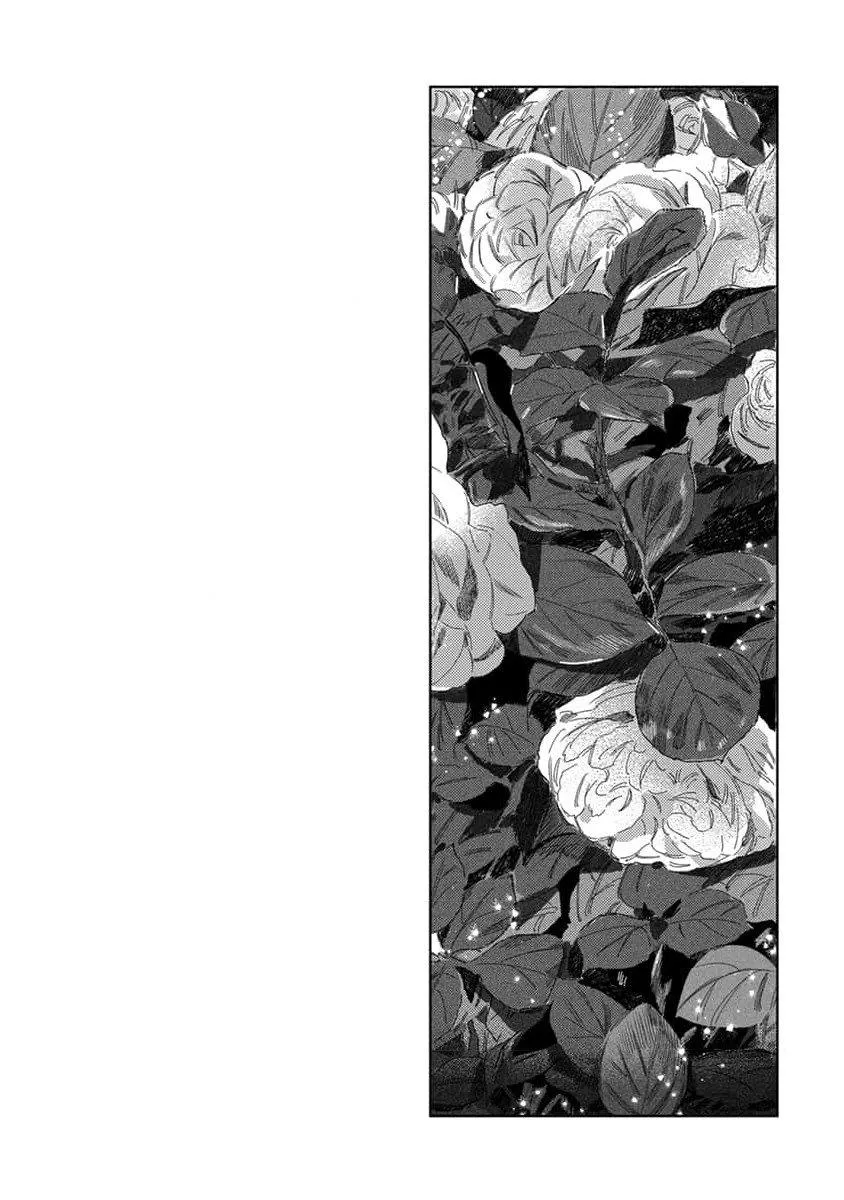 Hoa hồng dại và những kẻ giả tạo Chapter 3 Trang 30