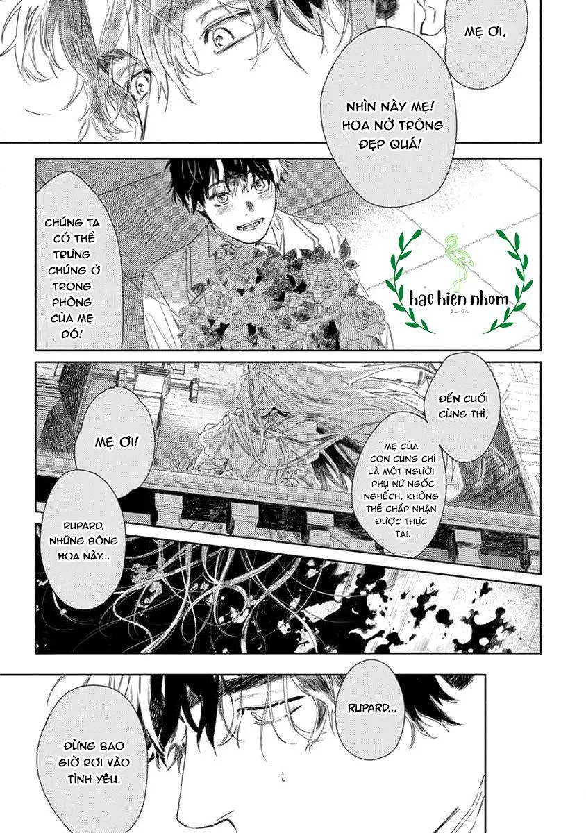 Hoa hồng dại và những kẻ giả tạo Chapter 4 Trang 17