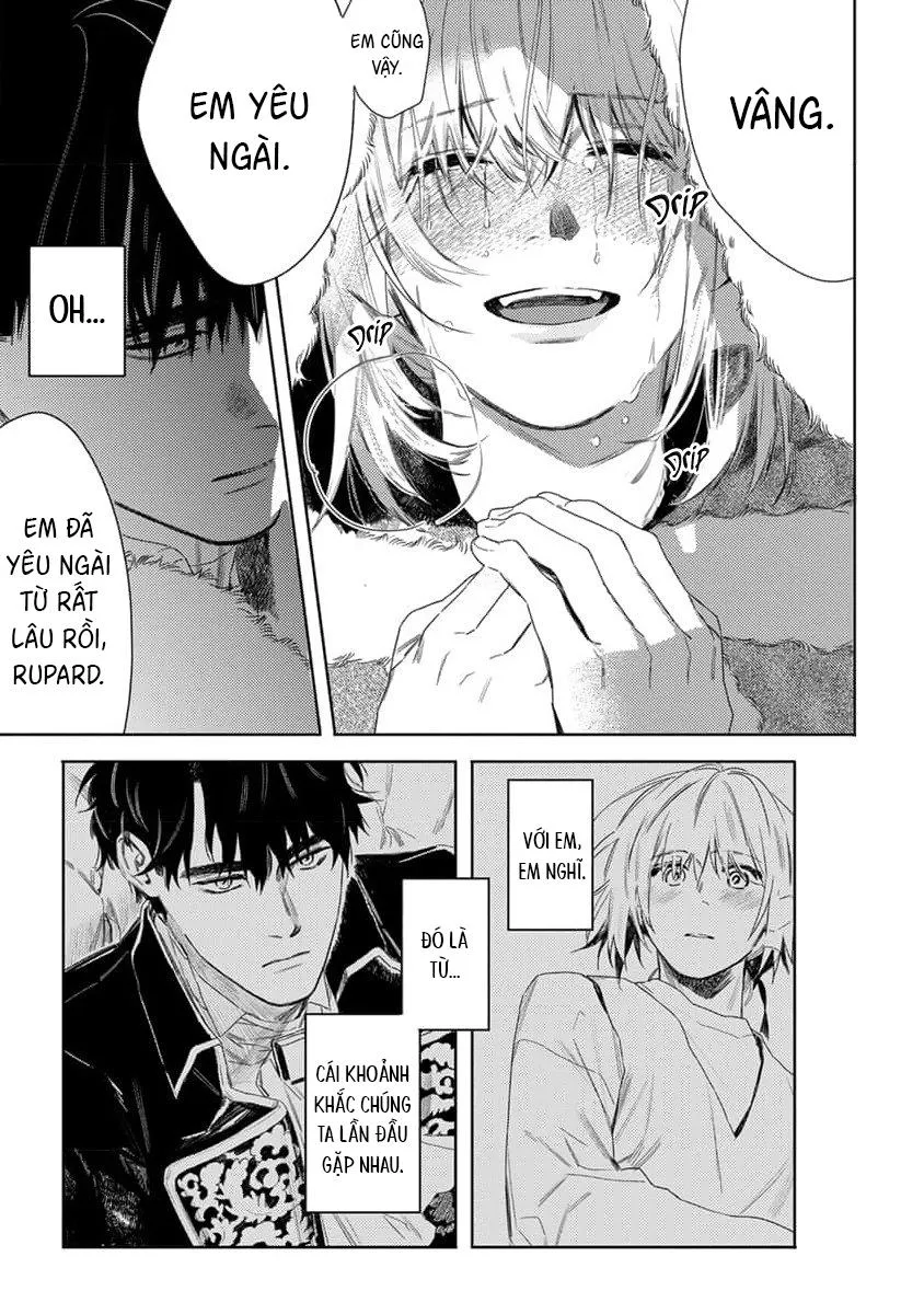 Hoa hồng dại và những kẻ giả tạo Chapter 6 Trang 22