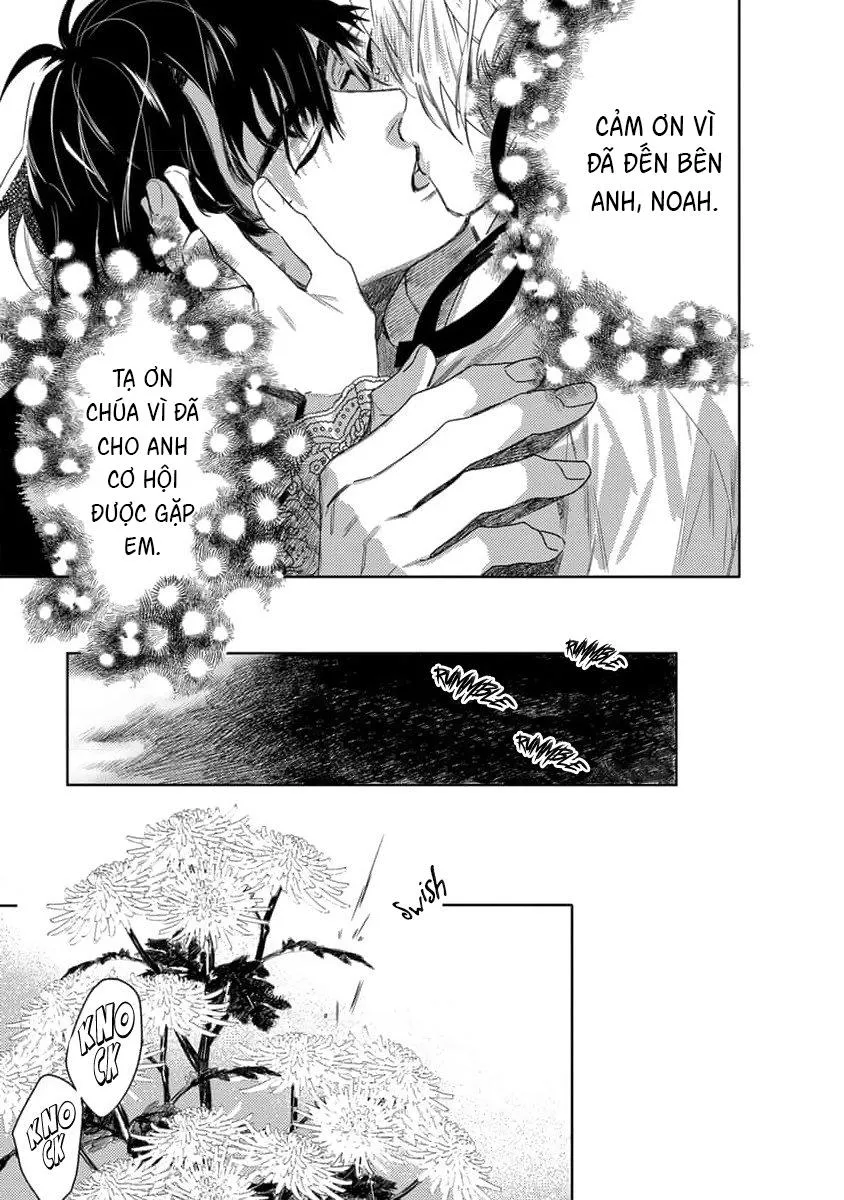 Hoa hồng dại và những kẻ giả tạo Chapter 6 Trang 36