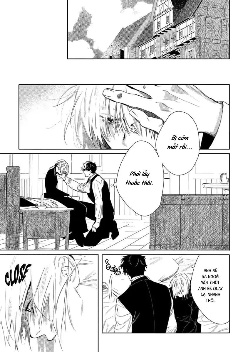 Hoa hồng dại và những kẻ giả tạo Chapter 7 Trang 9