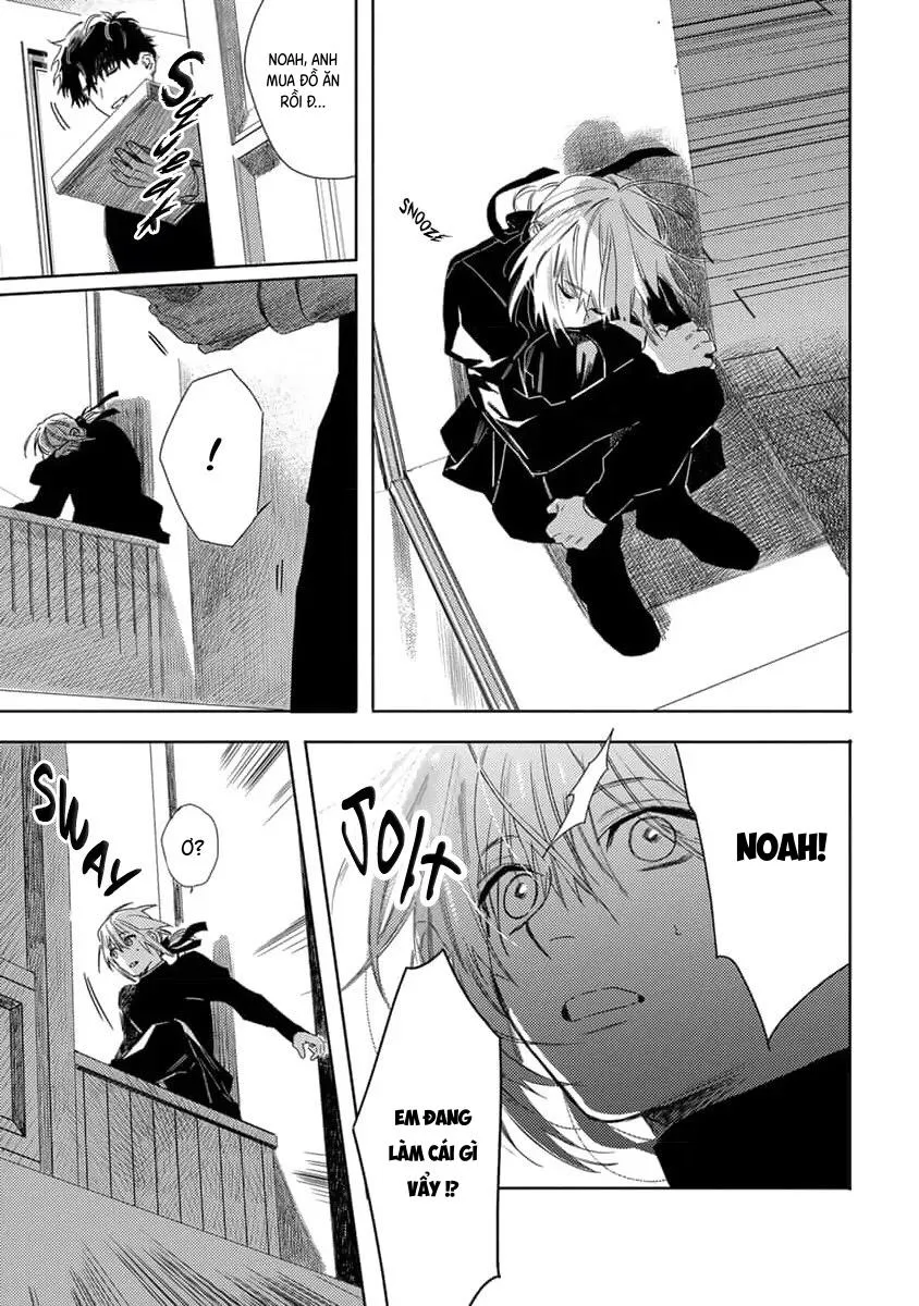 Hoa hồng dại và những kẻ giả tạo Chapter 7 Trang 11