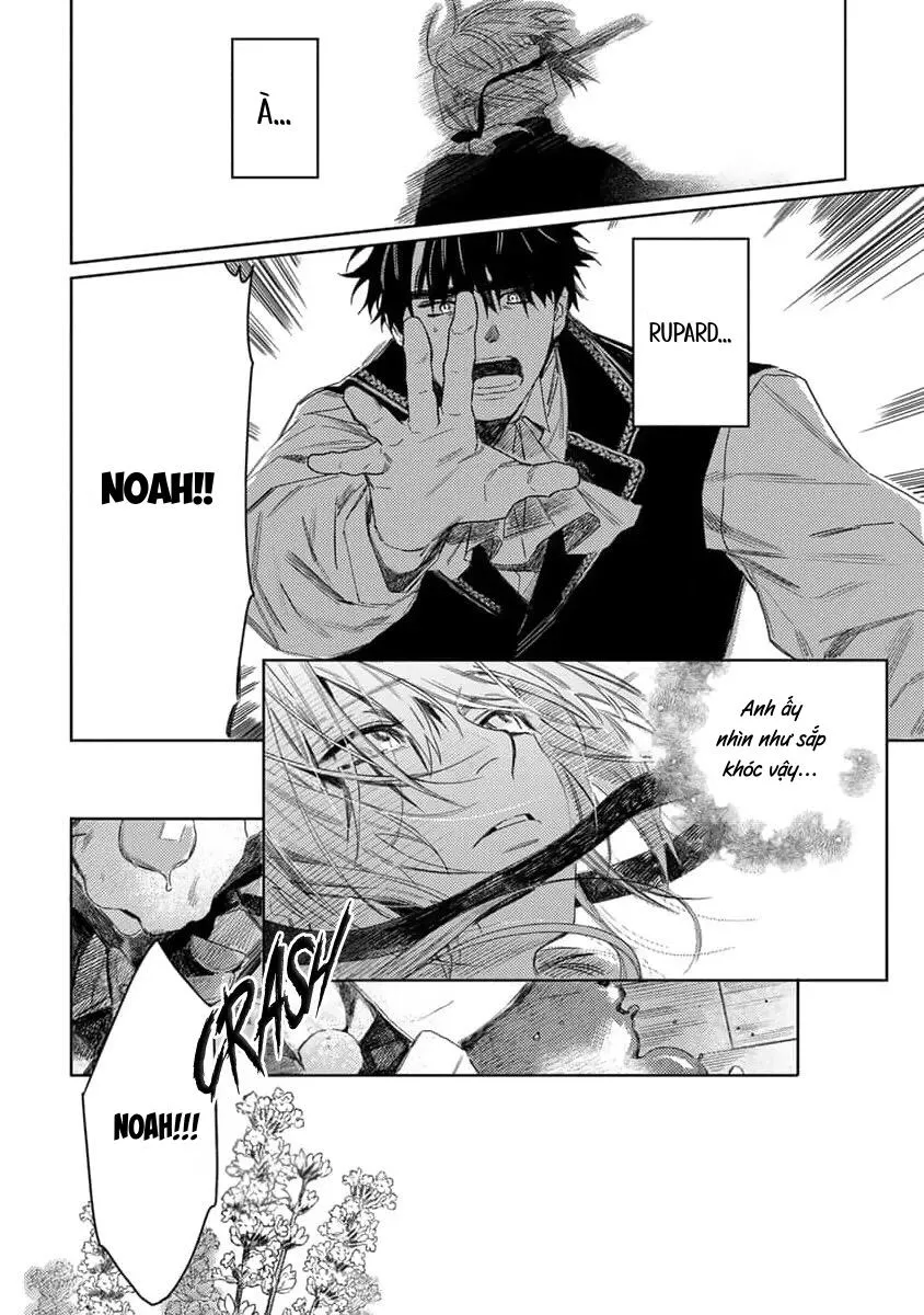Hoa hồng dại và những kẻ giả tạo Chapter 7 Trang 12