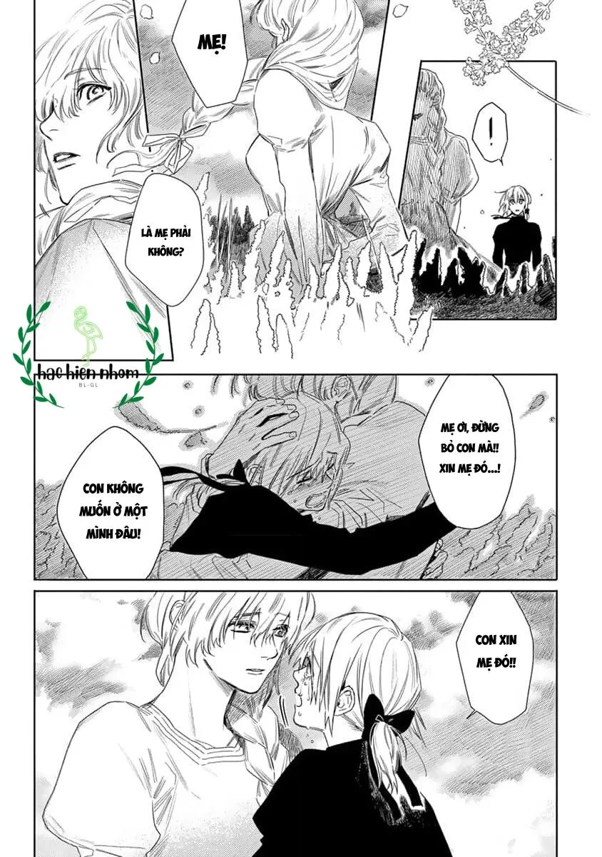 Hoa hồng dại và những kẻ giả tạo Chapter 7 Trang 13