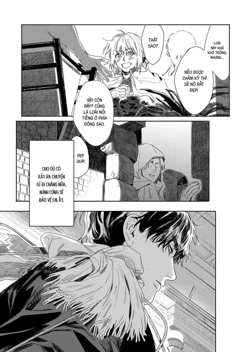Hoa hồng dại và những kẻ giả tạo Chapter 7 Trang 35