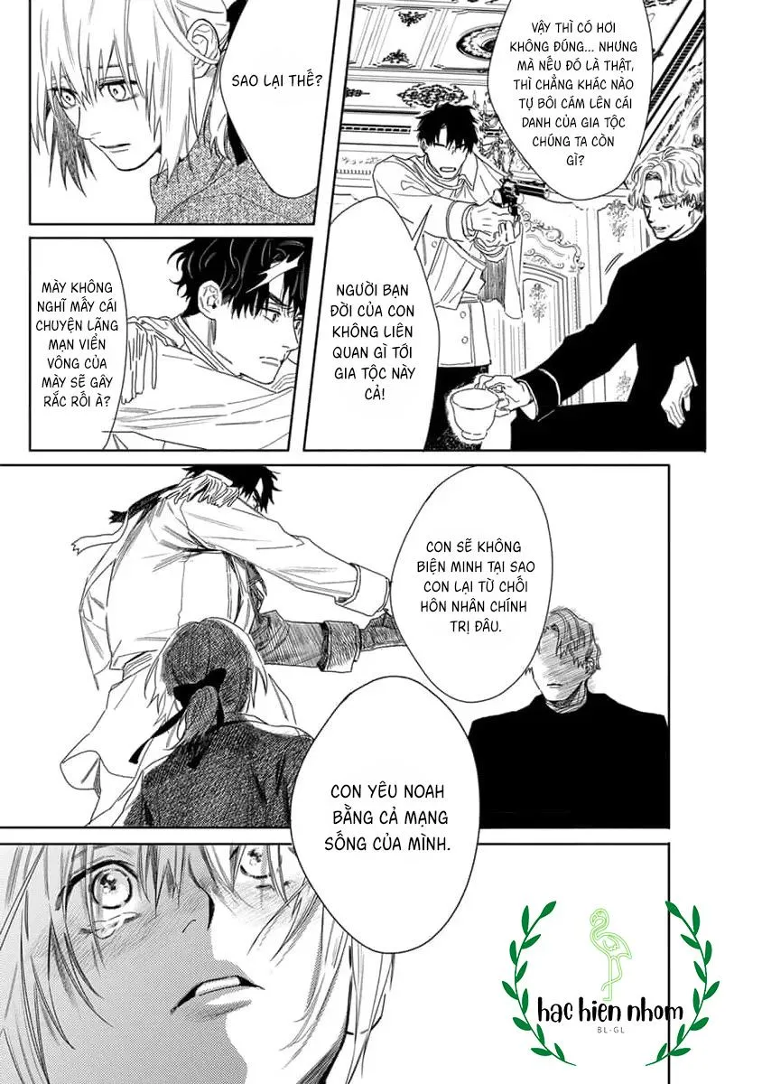 Hoa hồng dại và những kẻ giả tạo Chapter 8 Trang 12