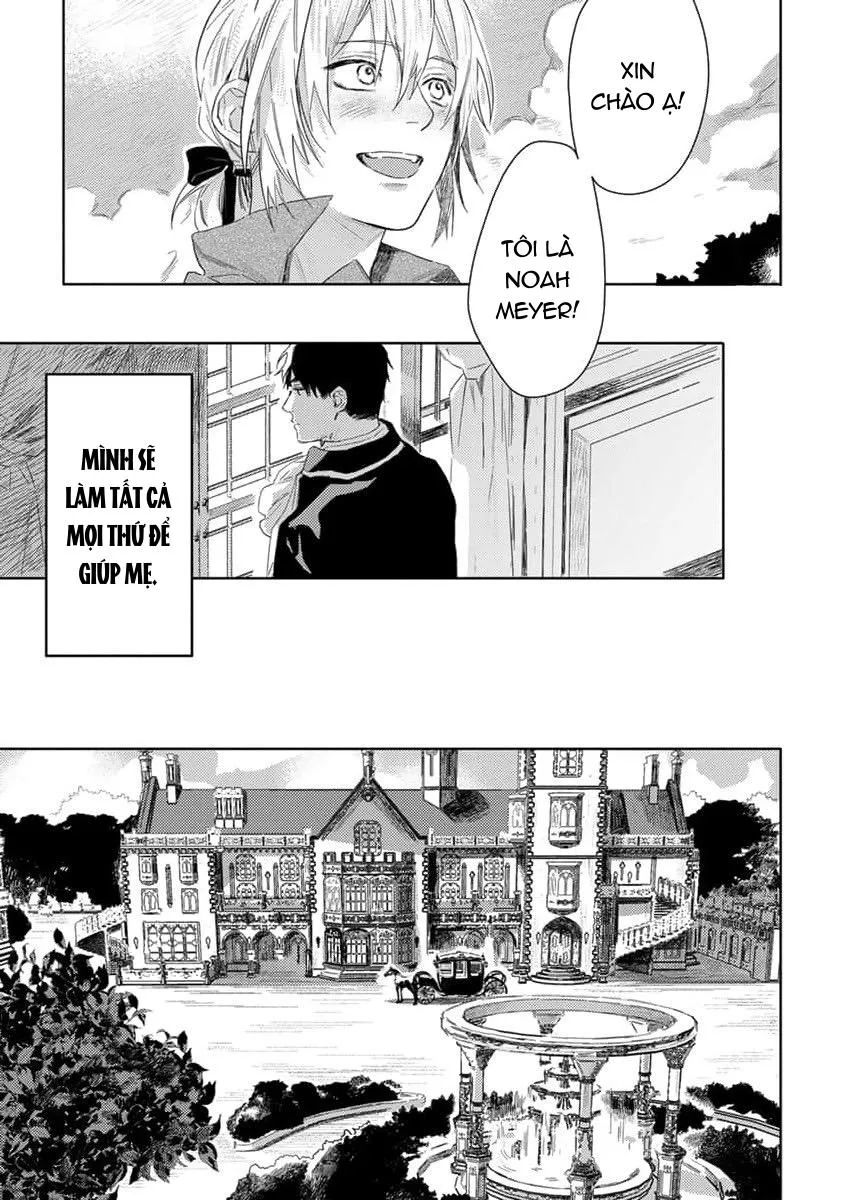 Hoa hồng dại và những kẻ giả tạo Chapter 1 Trang 16