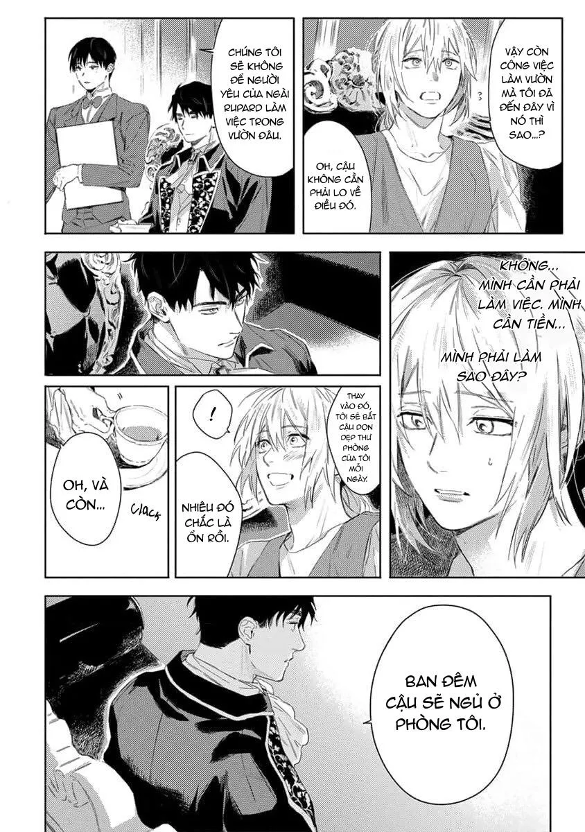 Hoa hồng dại và những kẻ giả tạo Chapter 1 Trang 31