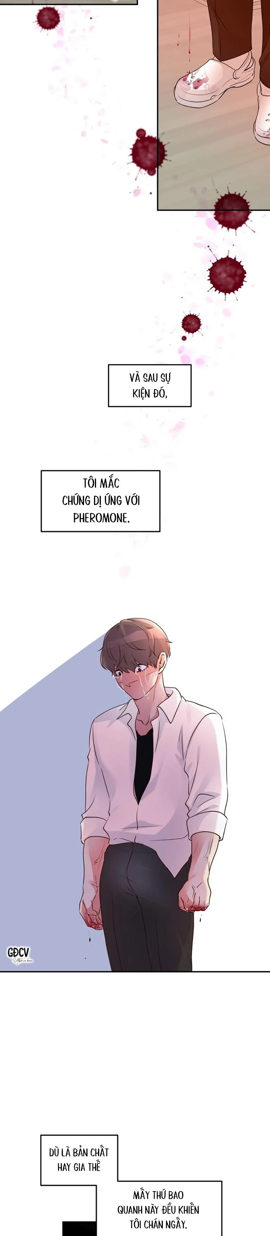 HOA KHÔNG HƯƠNG Chapter 1 Trang 23