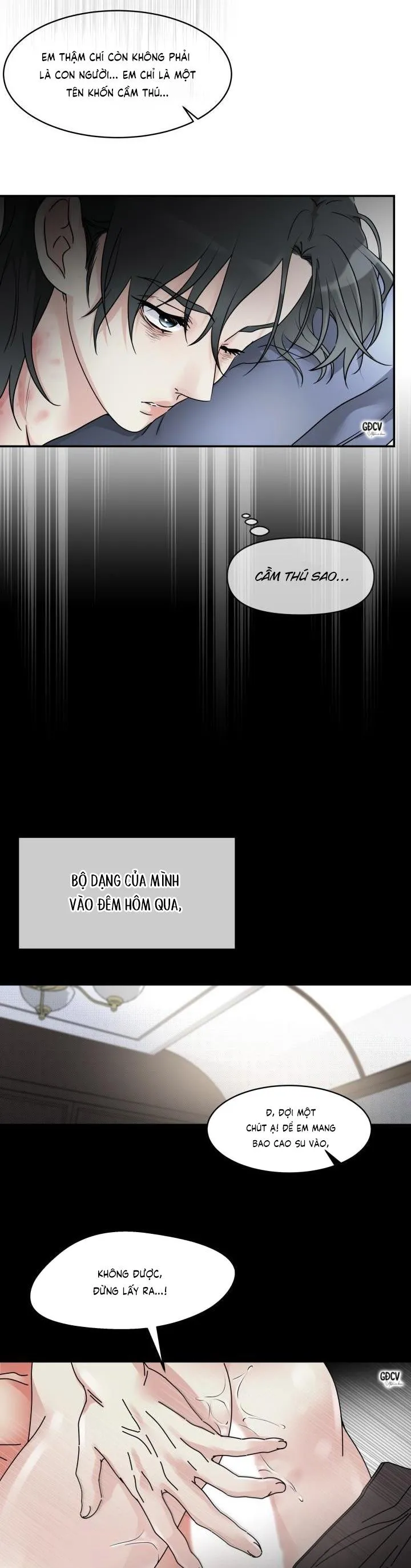 HOA KHÔNG HƯƠNG Chapter 7 Trang 15