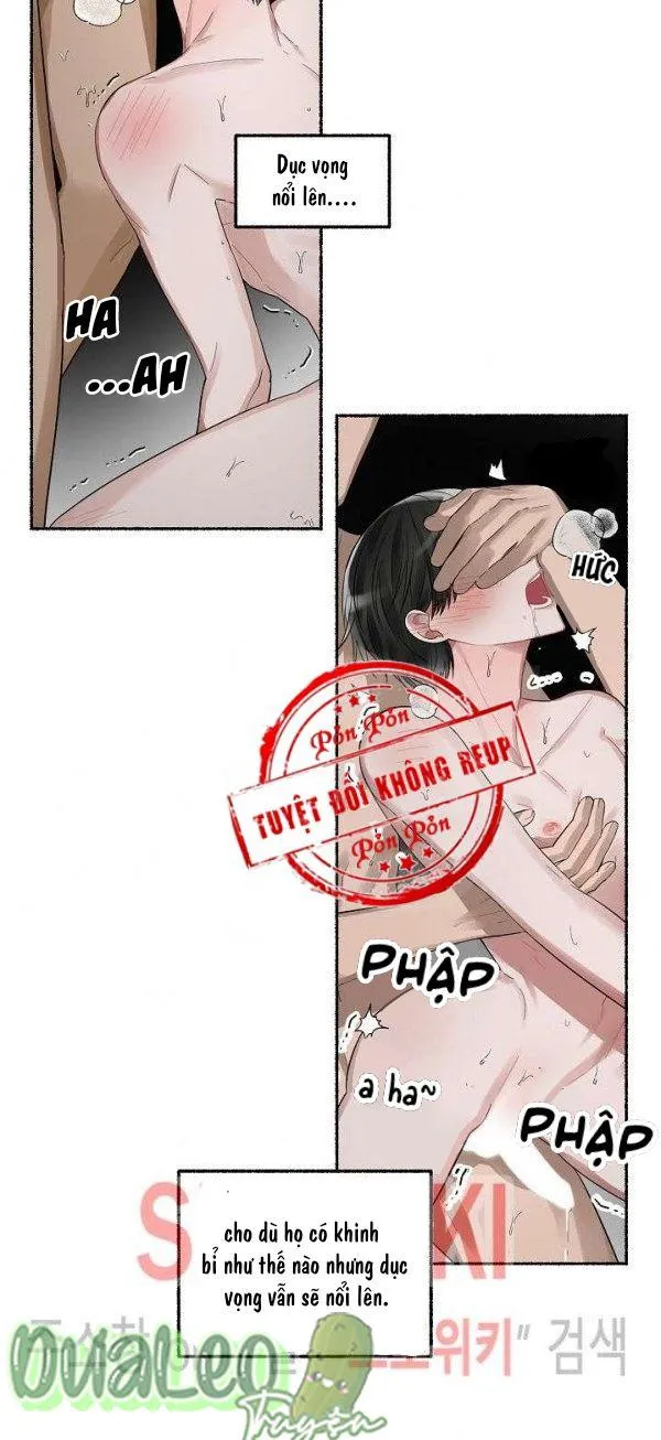 Hoa Triều Chapter 2 Trang 3