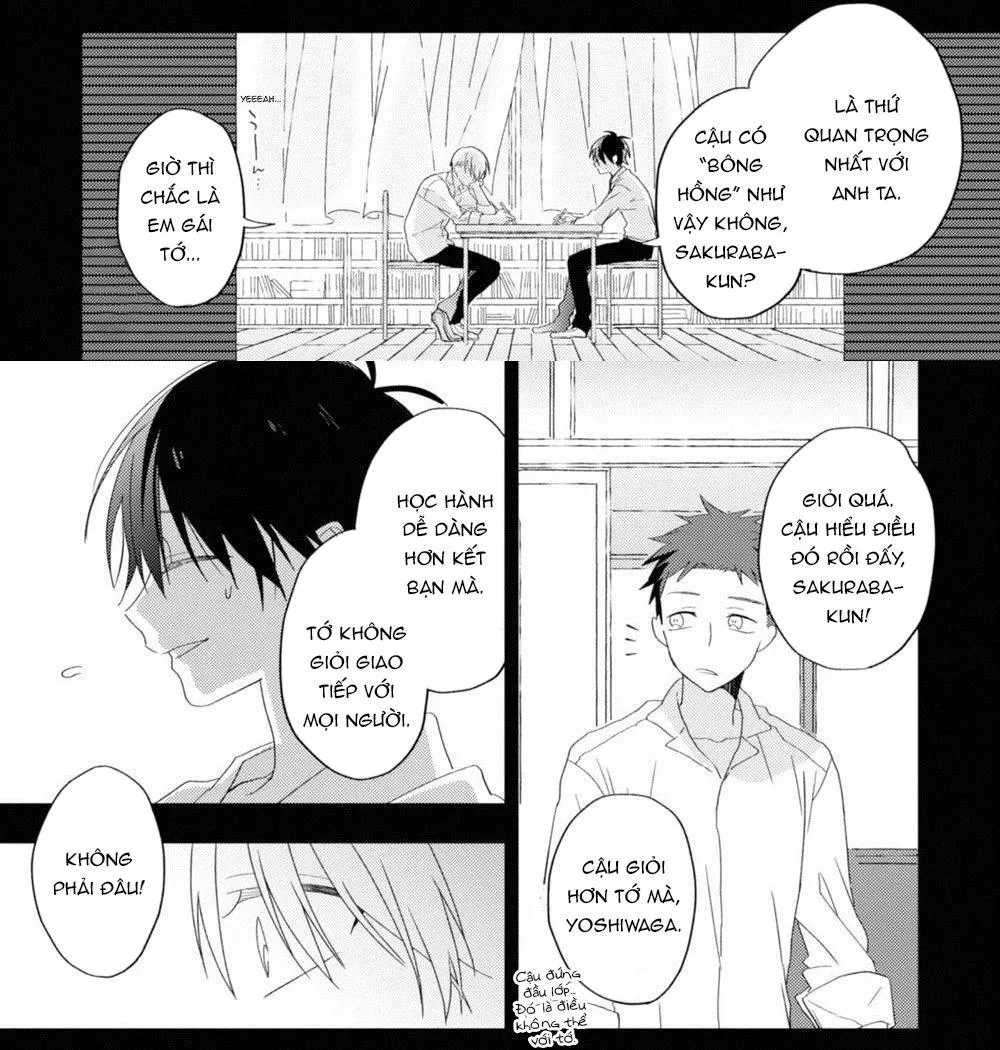 Hoa Trong Quan Tài Chapter 6 Trang 3