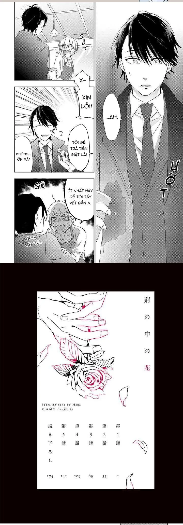 Hoa Trong Quan Tài Chapter 1 Trang 5