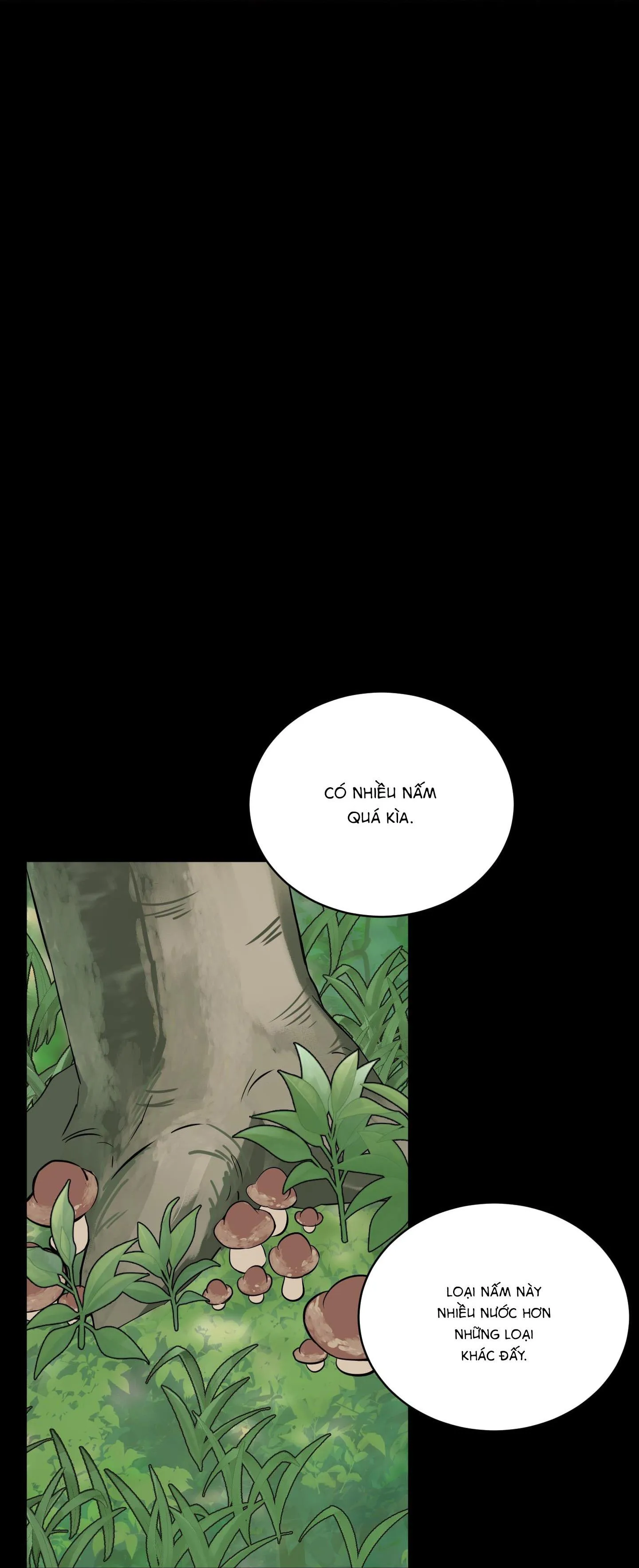 Hoa Vô Danh Chapter 3 Trang 53