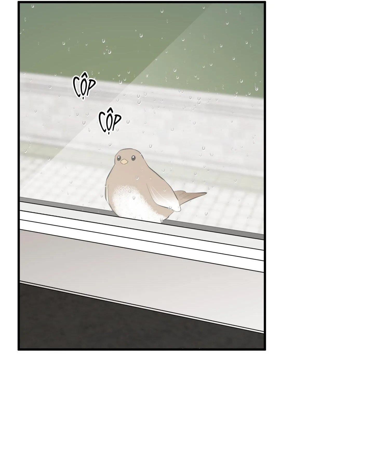 Hoa Vô Danh Chapter 32 Trang 71