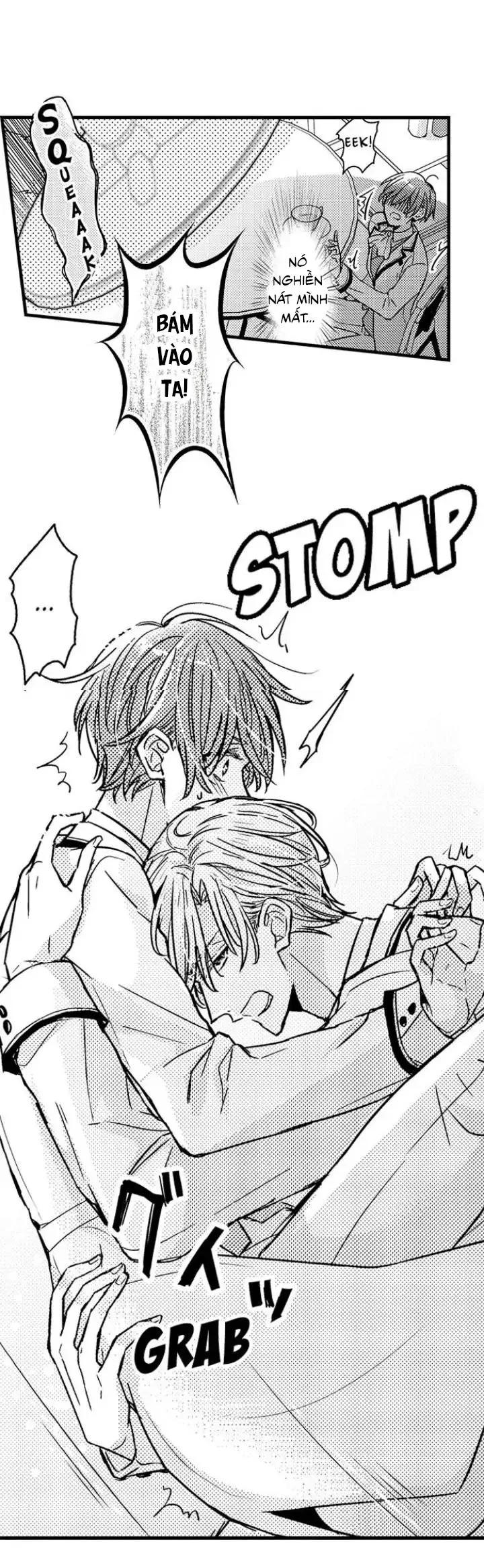 HOÀNG TỬ HOÀN HẢO YÊU TÔI, TÌNH ĐỊCH CỦA NGÀI Chapter 2 Trang 11